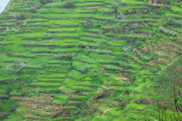 Zuidkust van madeira island - portugal — Stockfoto