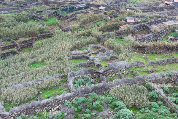 Zuidkust van madeira island - portugal — Stockfoto