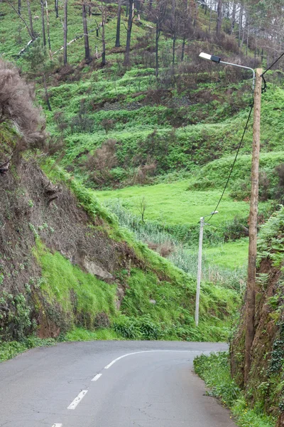 Eine leere straße auf madeira, portugal — Stockfoto