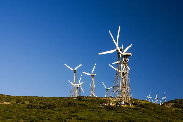 Molinos de viento Tarifa con cielo azul — Foto de Stock