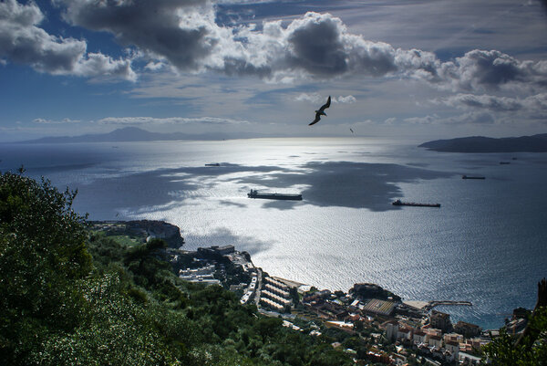 View of the Gibraltar rock from the Upper Rock
