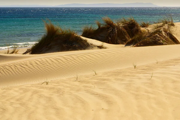 Ogrodzenia drewniane na wydmy bezludnej plaży w tarifa, Południowa Hiszpania — Stockfoto