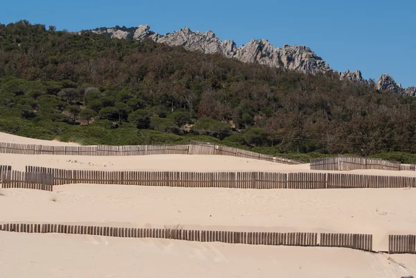 Dřevěné ploty na opuštěné písečné duny v tarifa, Španělskocercas de madera sobre las dunas de la playa desierta en tarifa, España — Stock fotografie