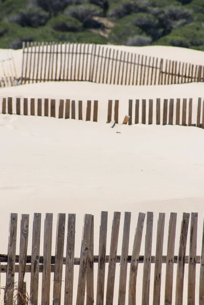 Wooden fences on deserted beach dunes in Tarifa, Spain — Stock Photo, Image