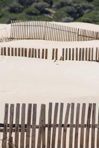 Ogrodzenia drewniane na wydmy bezludnej plaży w tarifa, Południowa Hiszpania — Zdjęcie stockowe