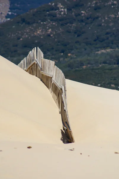 Деревянные заборы на пустынных пляжных дюнах в Тарифе, Испания — стоковое фото