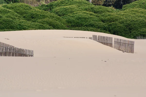 Ogrodzenia drewniane na wydmy bezludnej plaży w tarifa, Południowa Hiszpania — Zdjęcie stockowe