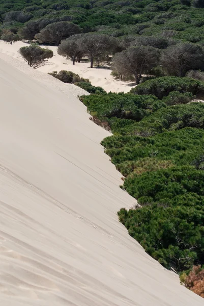 Krásný pohled na pláž a moře, Španělsko, tarifa — Stock fotografie