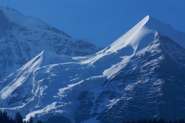 Swiss alps Avrupa'da Interlaken yakınındaki manzara.