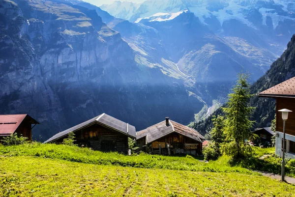 Utsikt över de schweiziska Alperna: vackra gimmelwald by, centrala sw — Stockfoto
