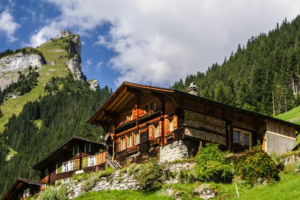 Uitzicht op de Zwitserse Alpen: mooie gimmelwald village, centrale sw — Stockfoto