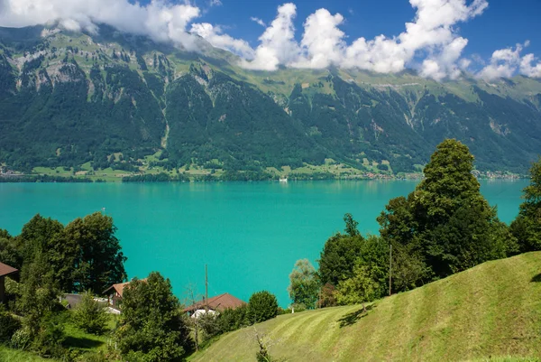 Paisaje alrededor del lago Brienz de la región de Jungfrau, Suiza —  Fotos de Stock