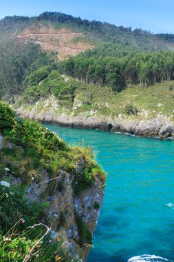 Ria küçük tina. nansa nehir ağzı. val de san vicente, cantabria Belediyesi.