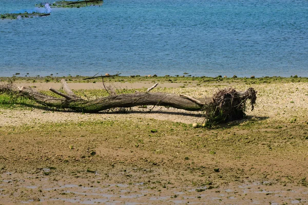 Yeni bir ev ile bir bahçe güzel gökyüzü altında kırsal alanda — Stok fotoğraf