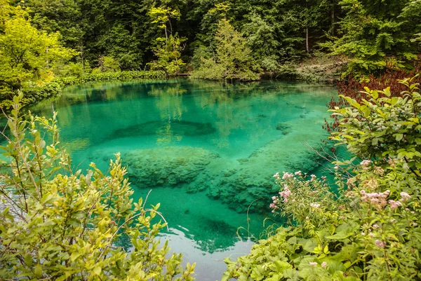 Laghi di Plitvice in Croazia - sfondo del viaggio nella natura — Foto Stock