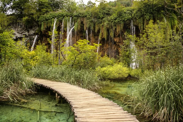 Deep forest stream. kristal helder water. Plitvicemeren, Kroatië — Stockfoto