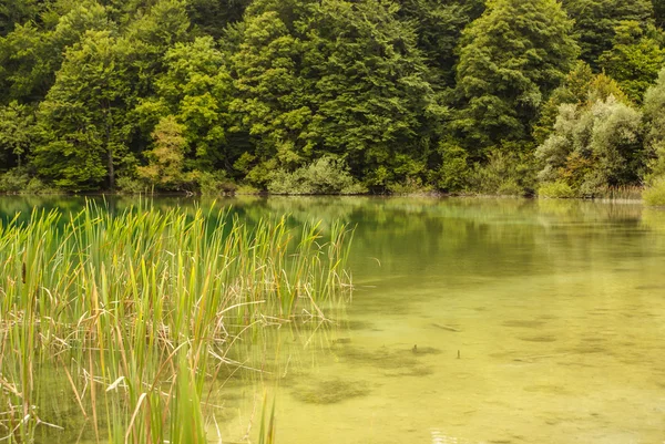 Plitvice lakes in Croatia - nature travel background — Stock Photo, Image