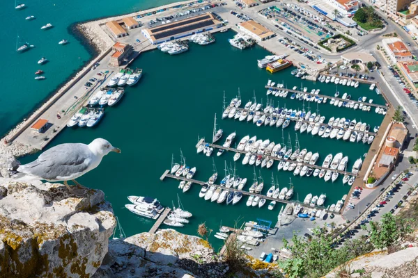 High angle view of the marina in Calpe, Alicante, Spain — Stock Photo, Image