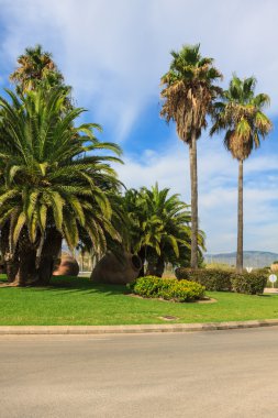 Palm garden evin önünde