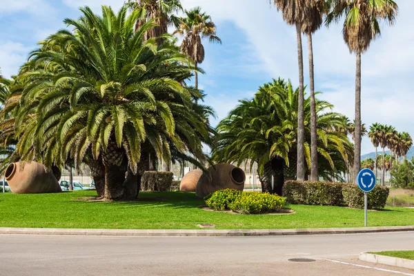 Palm Garden di fronte alla casa — Foto Stock