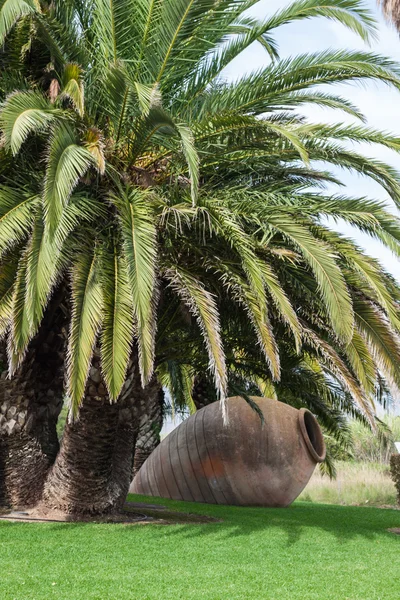 Palmträdgården framför huset — Stockfoto