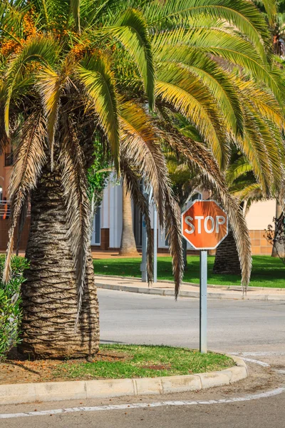 Palmengarten vor dem Haus — Stockfoto