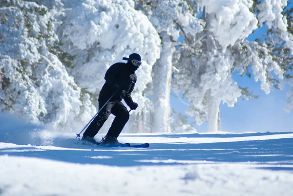 Skiing, winter, woman,men, skiing downhill — Stock Photo, Image