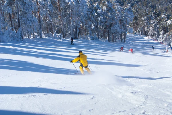 Skiing, winter, woman,men, skiing downhill — Stock Photo, Image