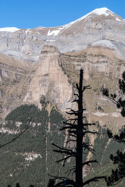 Monte Perdido no Parque Nacional de Ordesa, Huesca. Espanha . — Fotografia de Stock