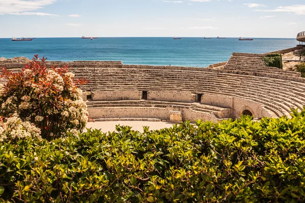 Вид римского амфитеатра в Таррагоне, Испания — стоковое фото