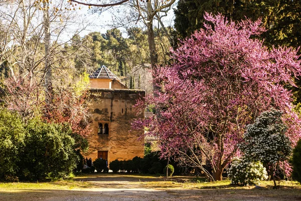 Bahçeleri la alhambra, granada, İspanya — Stok fotoğraf