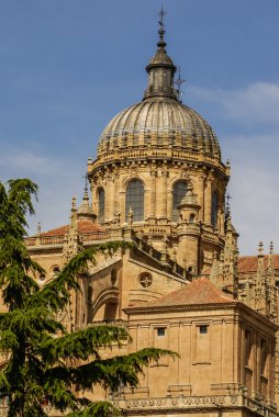 salamanca, İspanya, unes yeni bir katedral kulelerinin