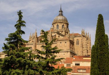 One of the towers of the New Cathedral of Salamanca, Spain, UNES clipart