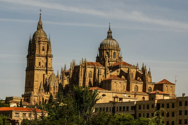 Jedna z věží nové katedrály salamanca, Španělsko, Petra — Stock fotografie