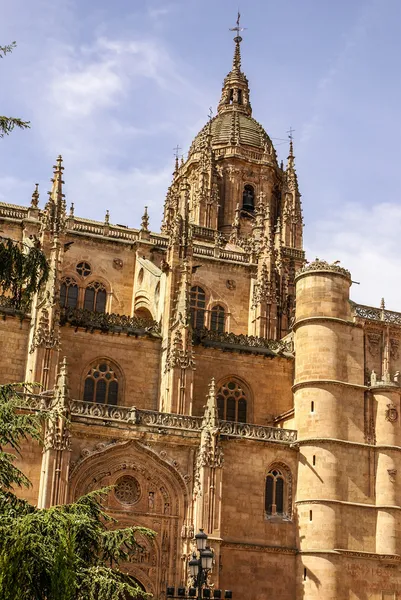 Jedna z věží nové katedrály salamanca, Španělsko, Petra — Stock fotografie