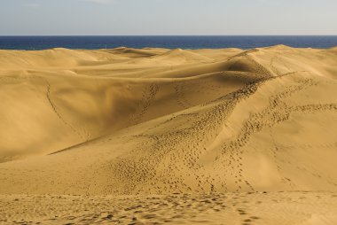 Las dunas de maspalomas, gran canaria