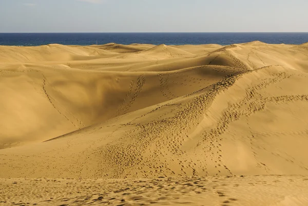 Las dunas de maspalomas na ostrově gran canaria — Stock fotografie