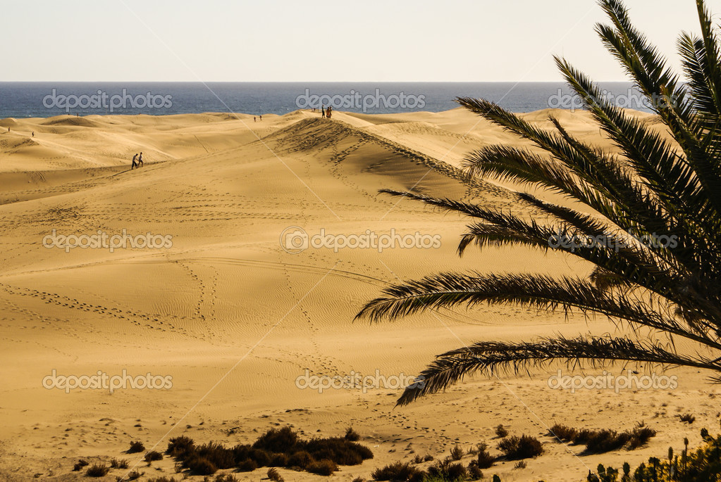 Las Dunas de Maspalomas at Gran Canaria