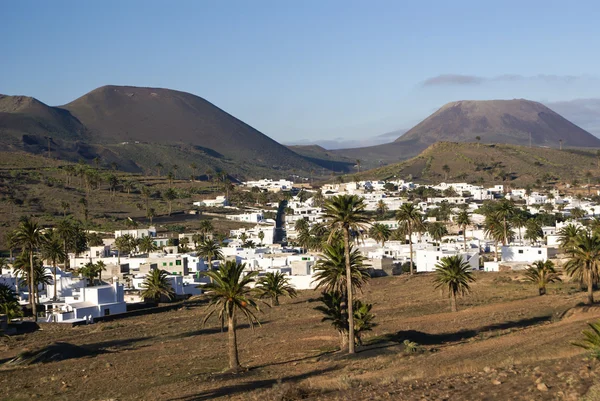 Hari, lanzarote, Canarische eilanden, Spanje — Stockfoto