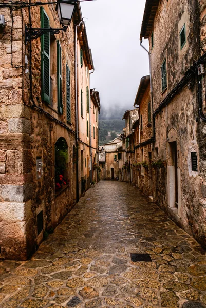 Majorca Valldemossa typical village with flower pots in facades — Stock Image Majorca Valldemossa typical village with flower pots in facades Stock Photo