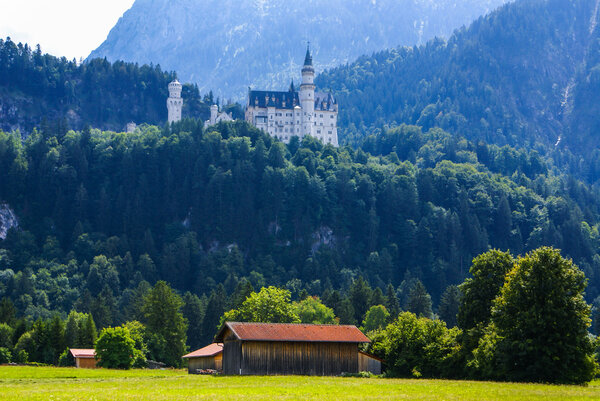 Картина, постер, плакат, фотообои "замок нойшванштайн в баварских альпах, германия — стоковое фото природа лес", артикул 43006607