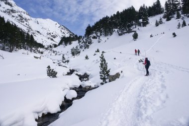 Skiing, winter, skiers on ski run, mountain Pyrenees clipart