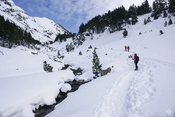 ピレネー山脈山のゲレンデでスキー、冬、スキーヤー — ストック写真