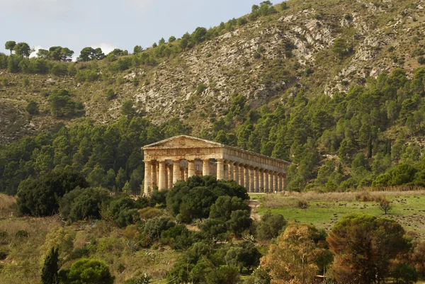 Griekse tempel in de oude stad van segesta, Sicilië — Stockfoto