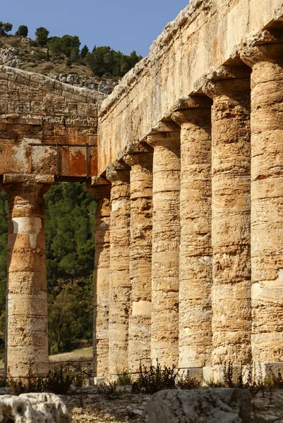 Segesta site archéologique de foreuses grecques antiques Sicile Ital — Photo