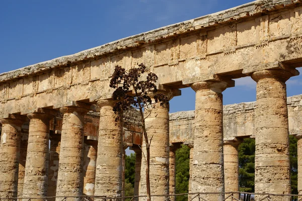 Segesta archeologická lokalita starověké Řecko vrtáky Sicílie ital — Stock fotografie