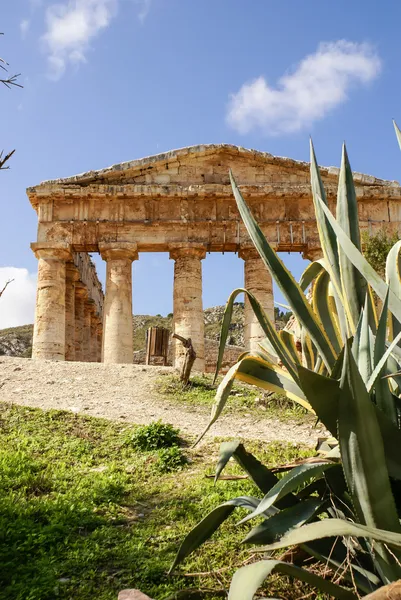 Segesta sitio arqueológico de antiguos ejercicios griegos Sicilia Ital —  Fotos de Stock