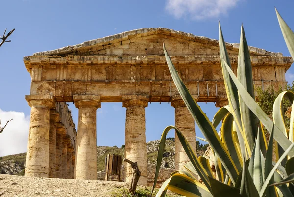 Греческий храм в древнем городе Сегеста, Сицилия — стоковое фото