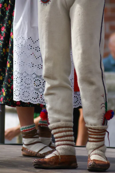 Horisontella färgbild av kvinnliga polska dansare i traditionella — Stockfoto