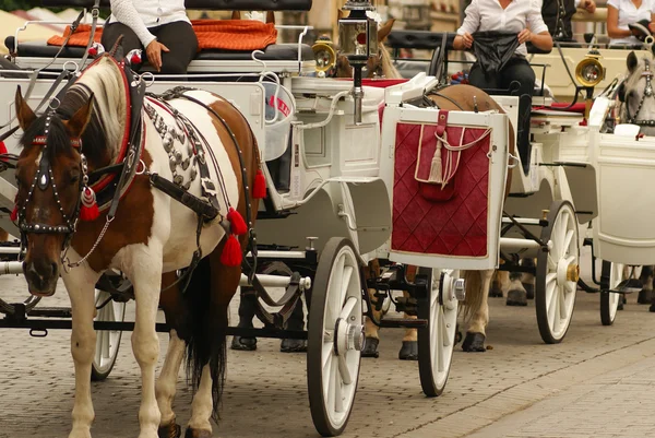 Krakow, Polen, hästdragna vagnar med guider framför th — Stockfoto